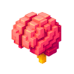 brain